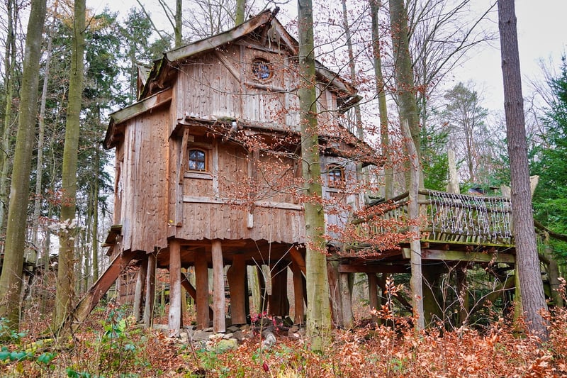 Treehouse in the forest